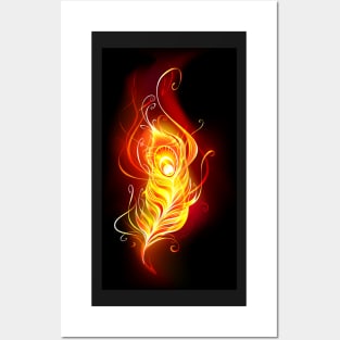 Fire Peacock Feather Posters and Art